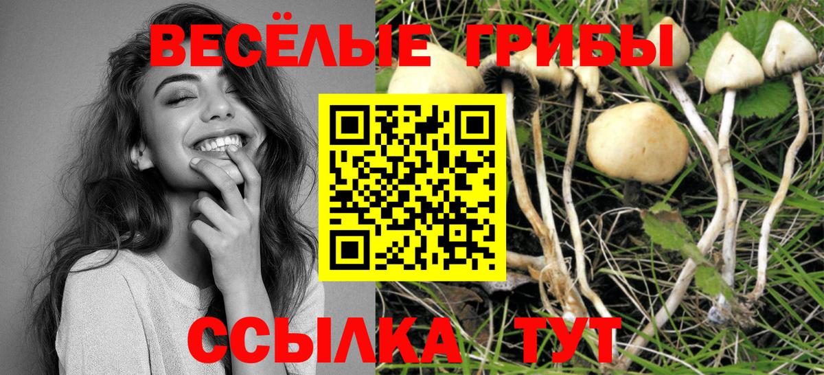 Верхний Уфалей  купить наркотики сайты  Вход с VPN  Галлюциногенные грибы мицелий 